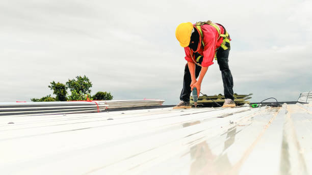 Best Roof Insulation Installation  in Albion, IL